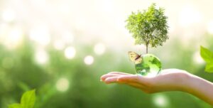 Sustainable insulation materials for a green earth