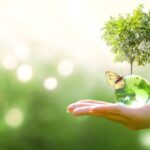 green earth - sustainable insulation materials