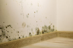 mouldy wall - interstitial condensation