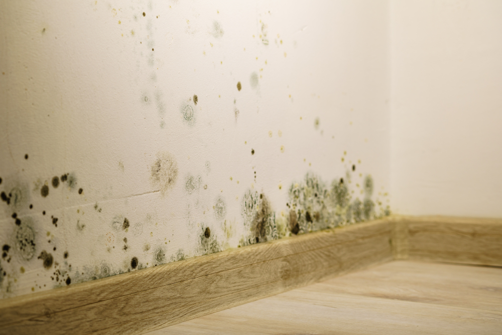 mouldy wall - interstitial condensation